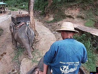 Riding an elephant in a mess in Thailand with teenagers